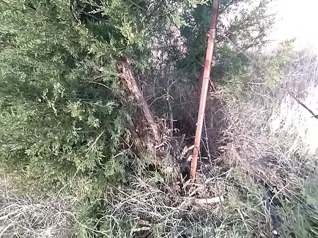 20211127_150824.jpg