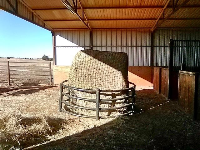 20211129_151850.jpg