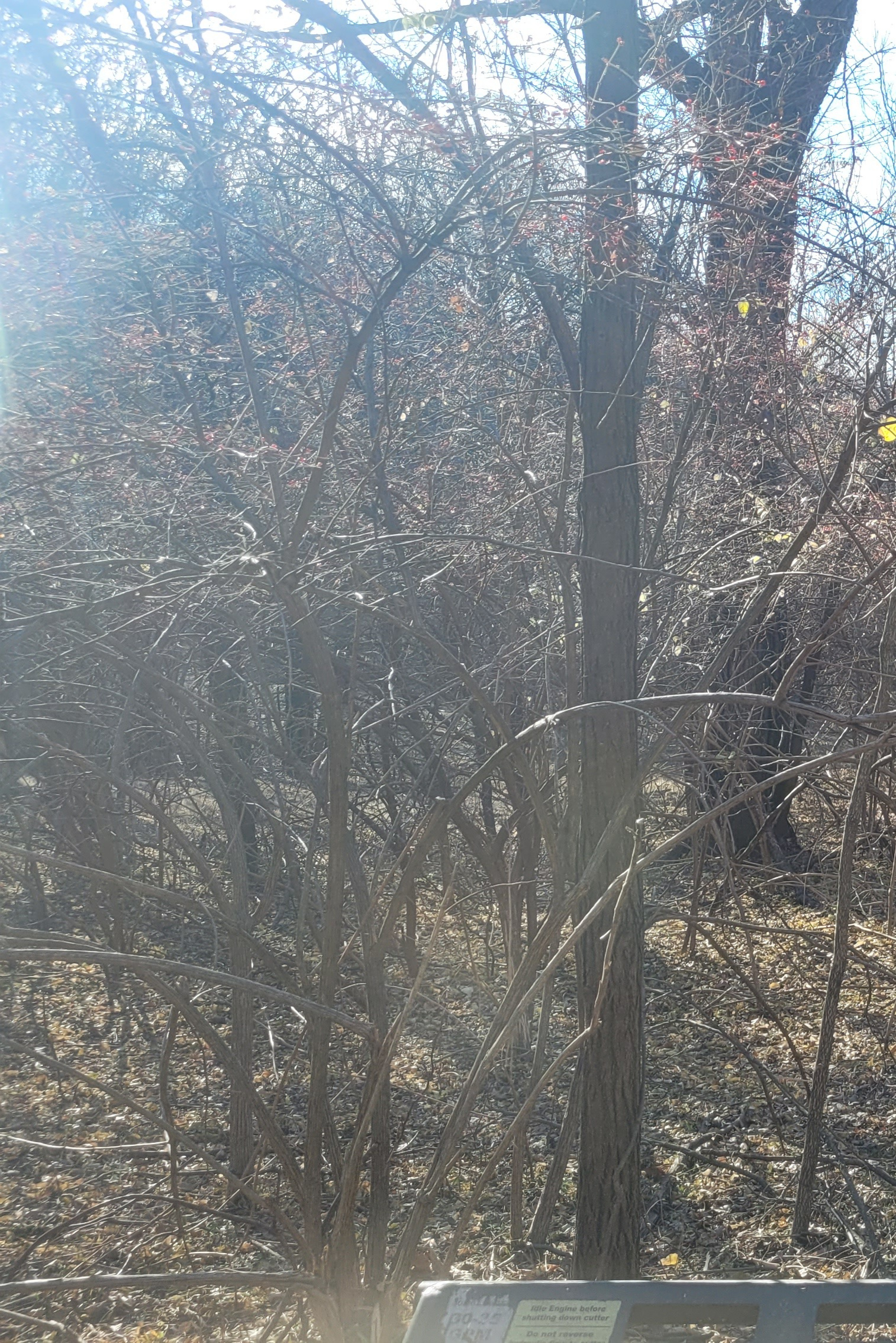 20211213_092413.jpg