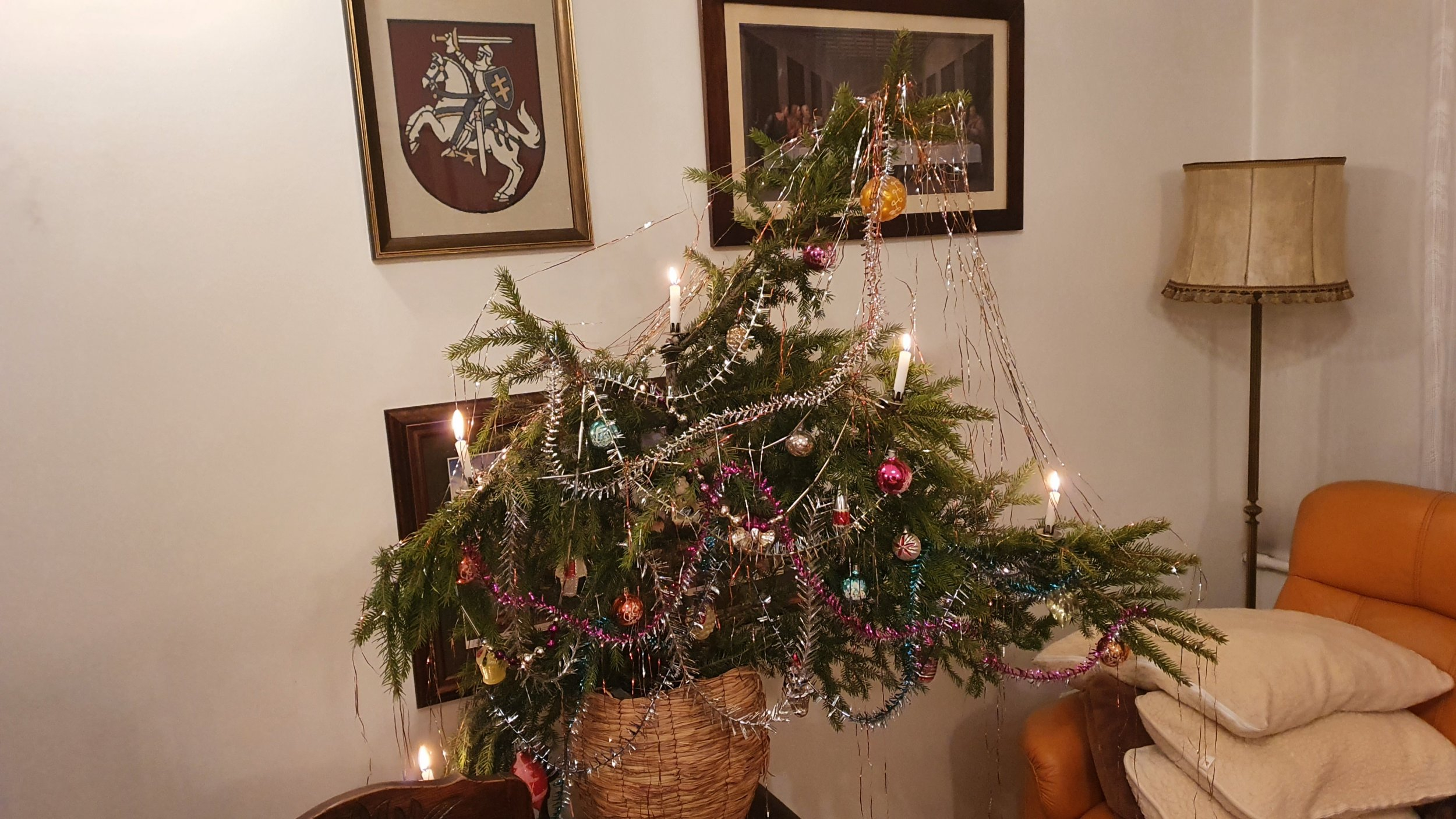20211224_205315 Christmas Tree.jpg