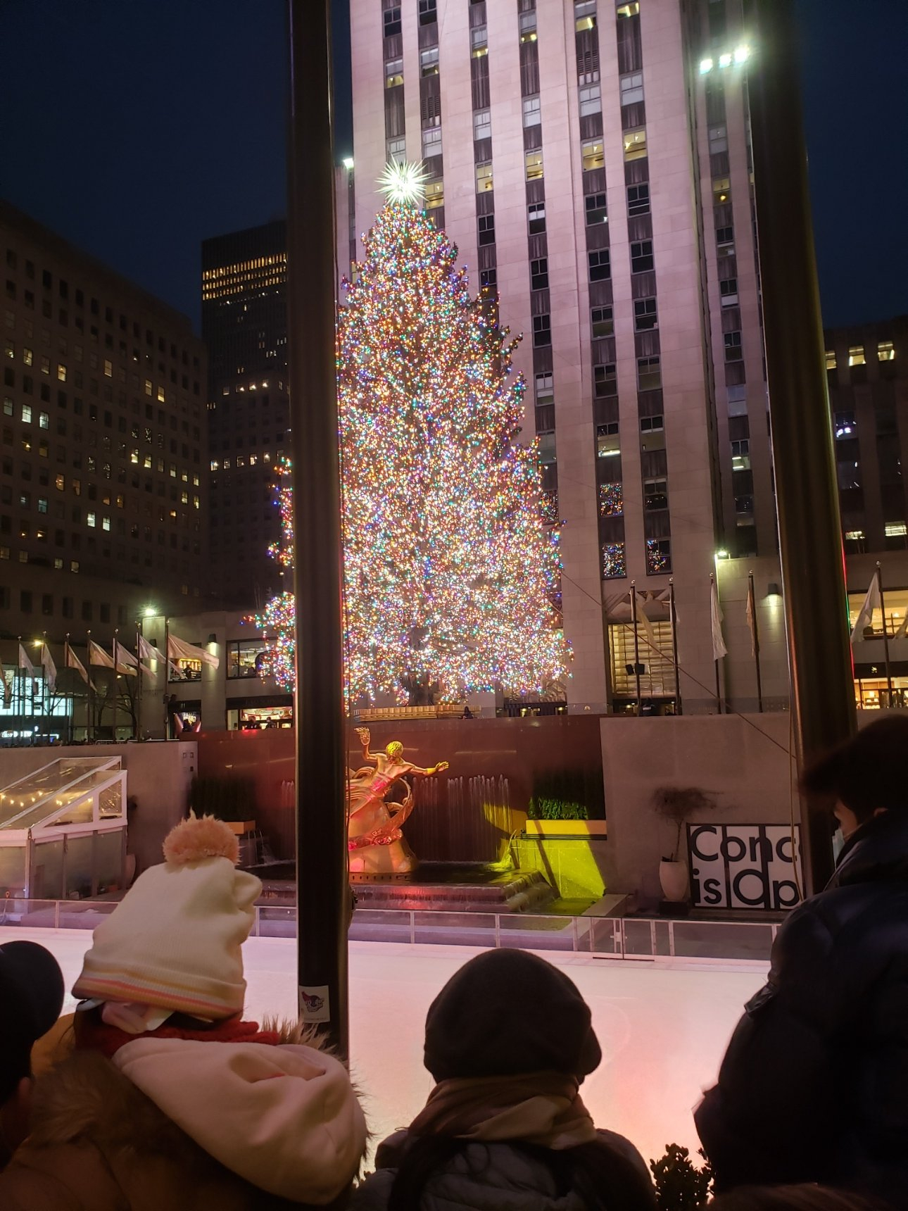 202112Tree28_165515.jpg