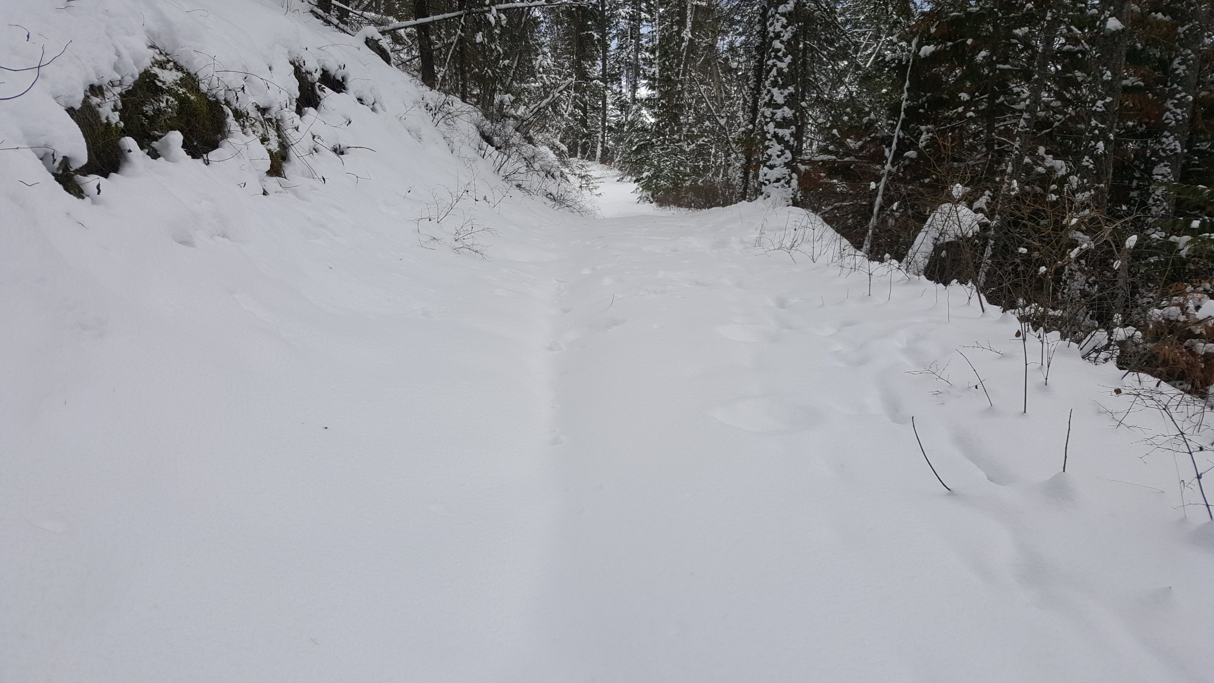 20220101_111235.jpg