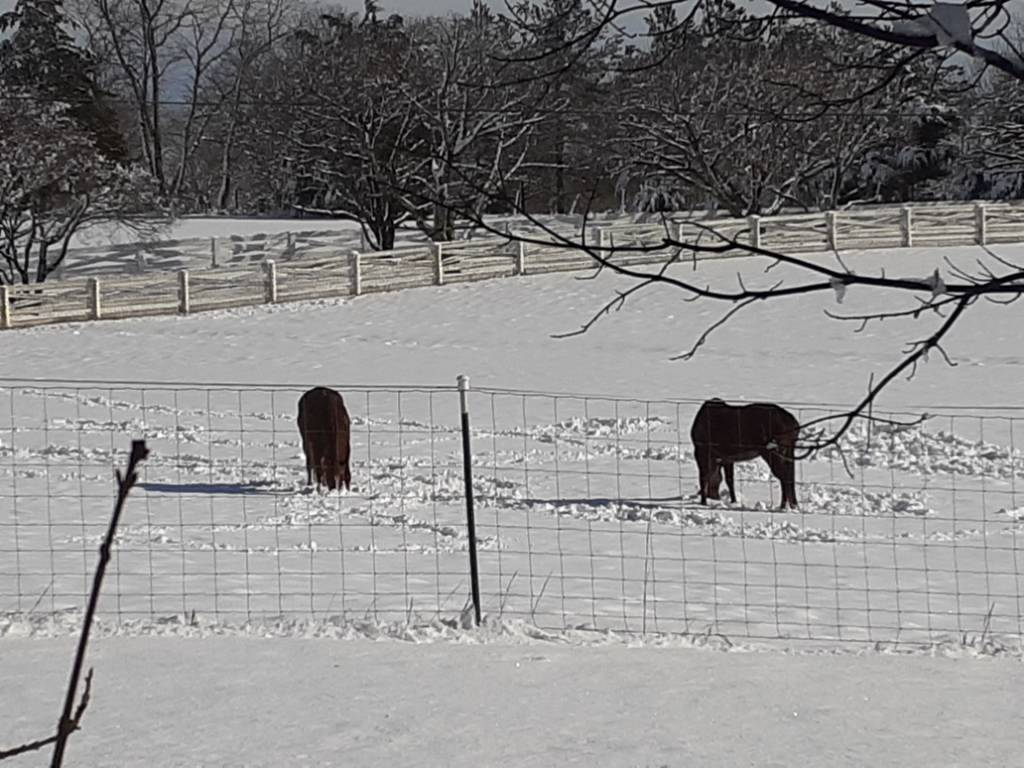 20220103_135544.jpg