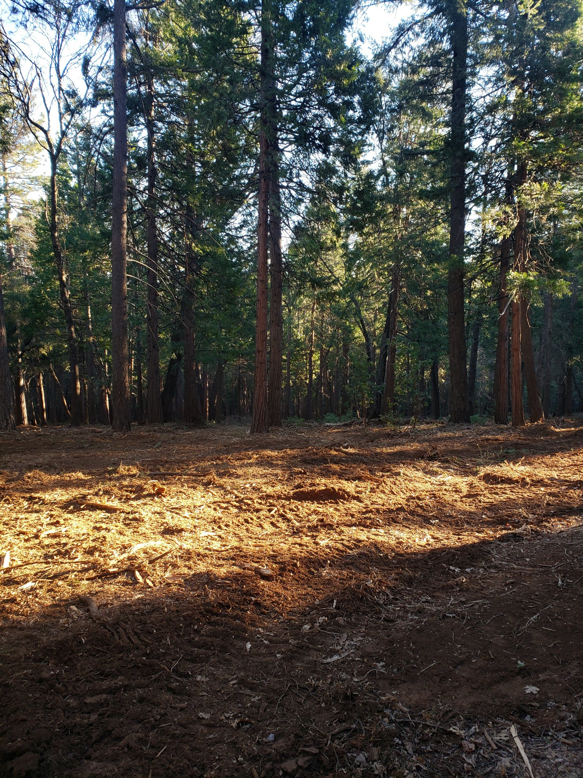 20220123_082237.jpg