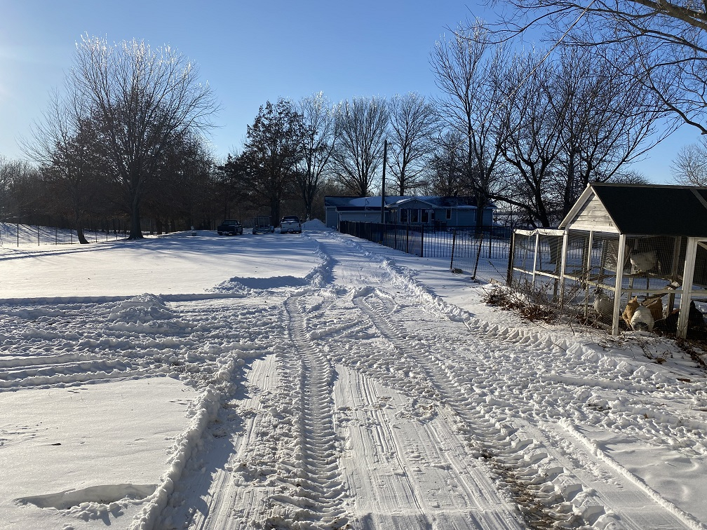 20220204 Snow Moving.JPG
