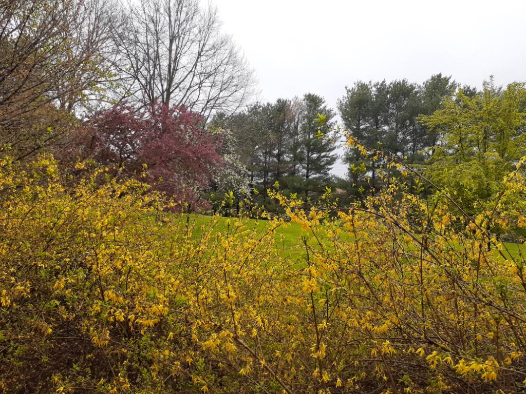 20220407_151021.jpg
