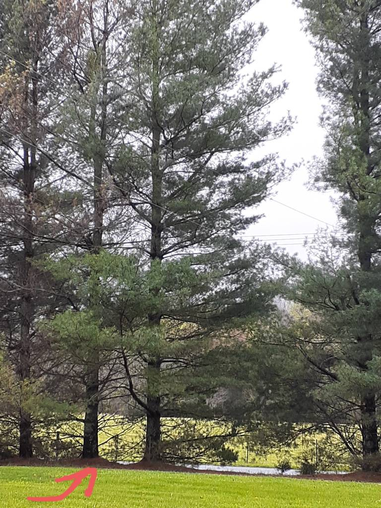 20220407_151113.jpg