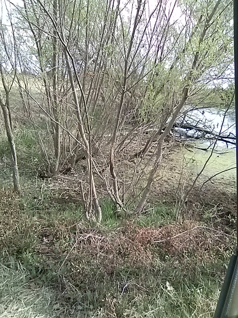 20220427_163934.jpg