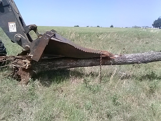 20220513_120430.jpg