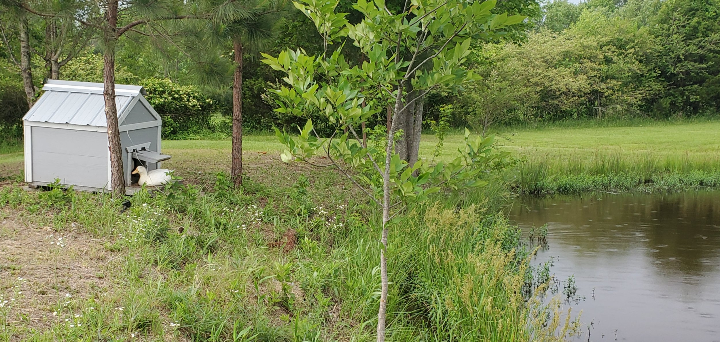 20220521_185833.jpg
