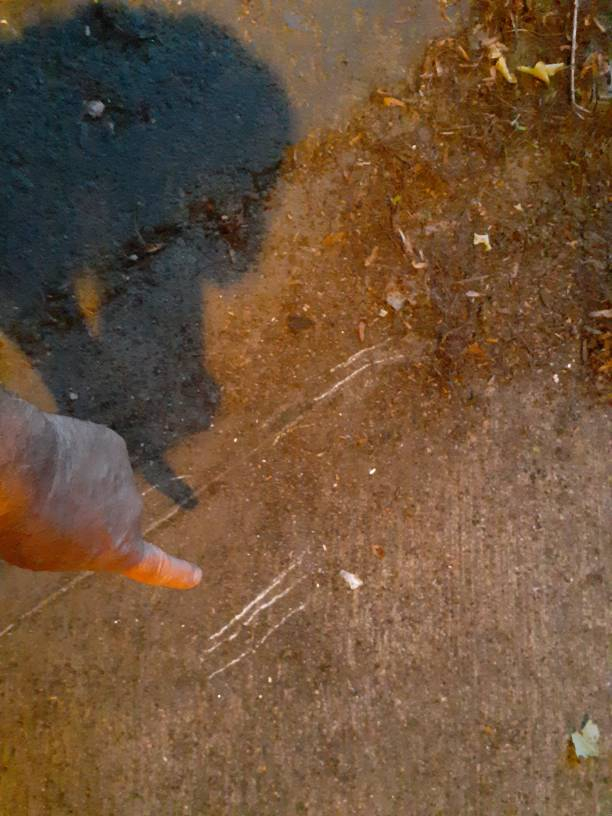 20220608_204012.jpg