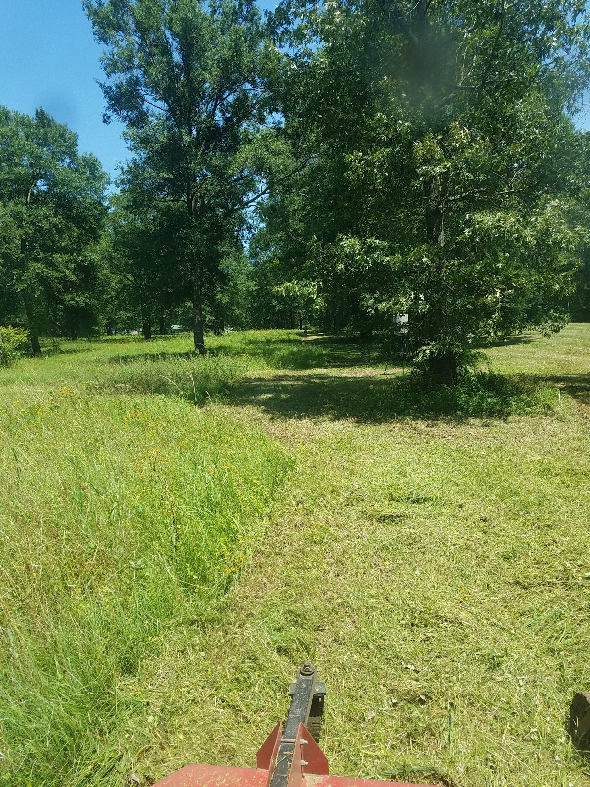20220612_142559.jpg