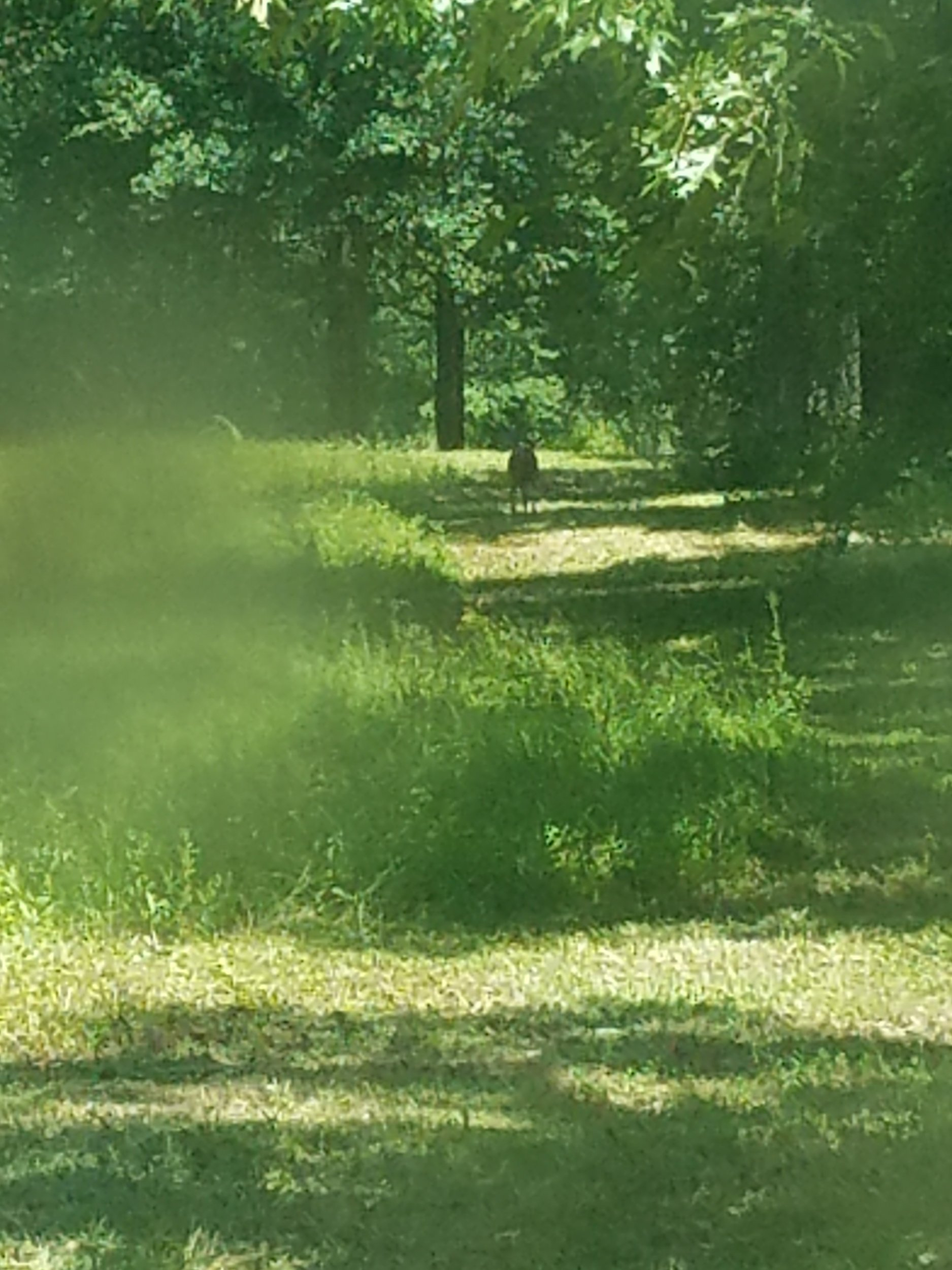 20220612_142608.jpg