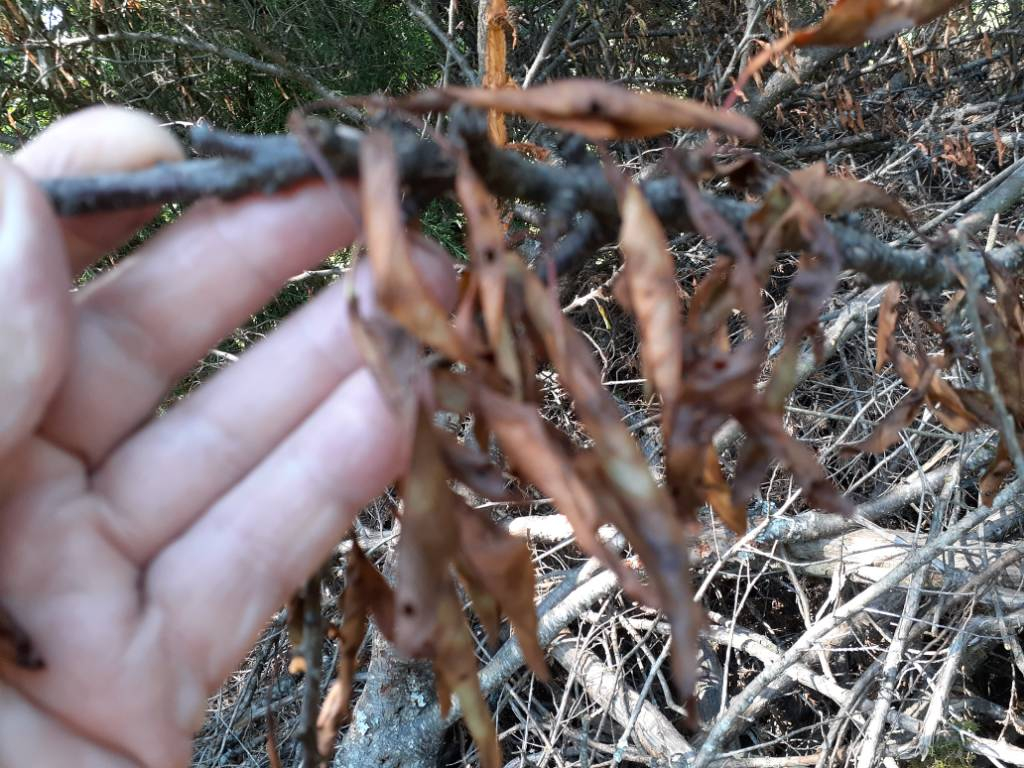 20220625_150527.jpg