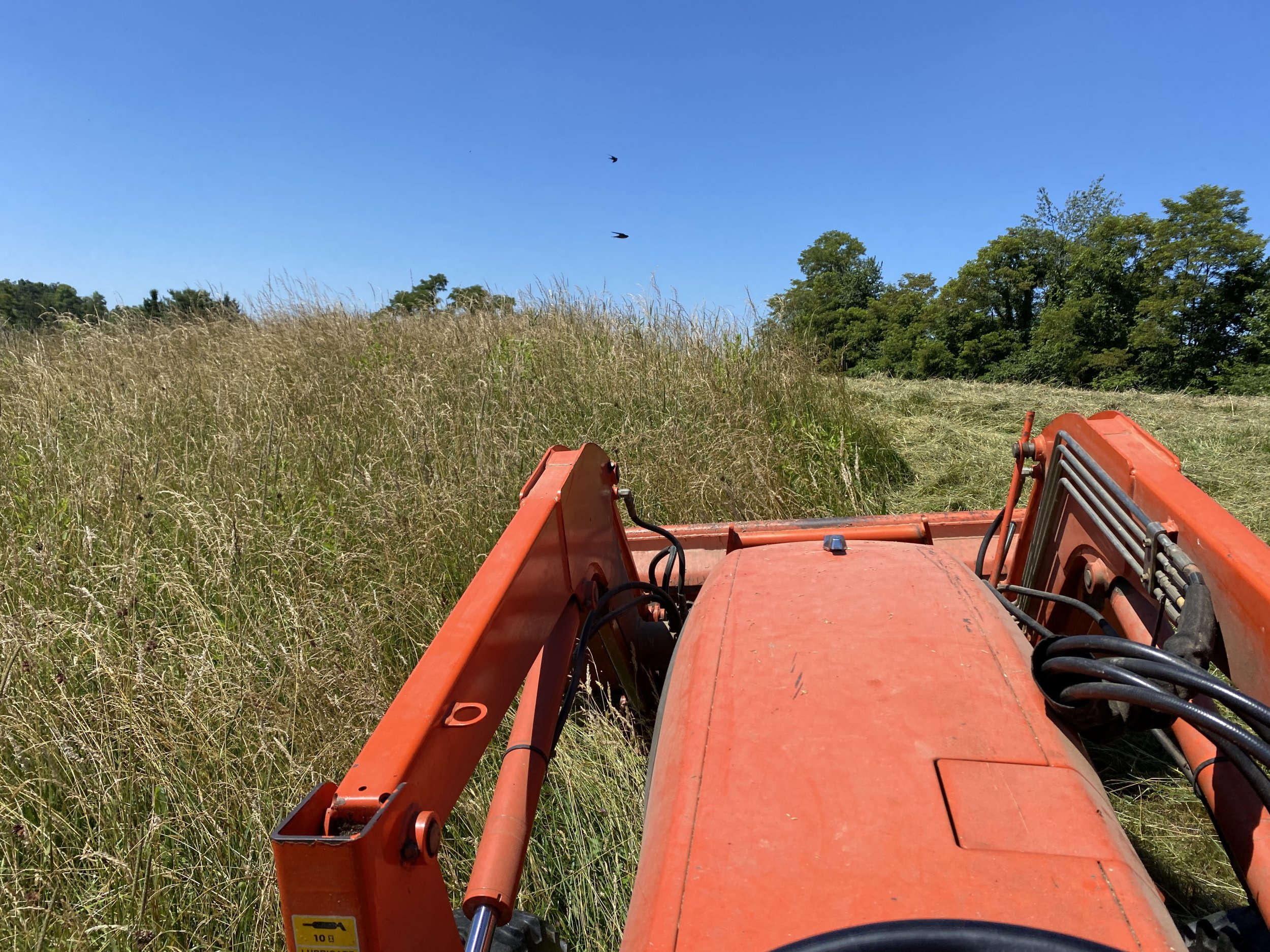 20220629_114506__OH_Farm_.JPG