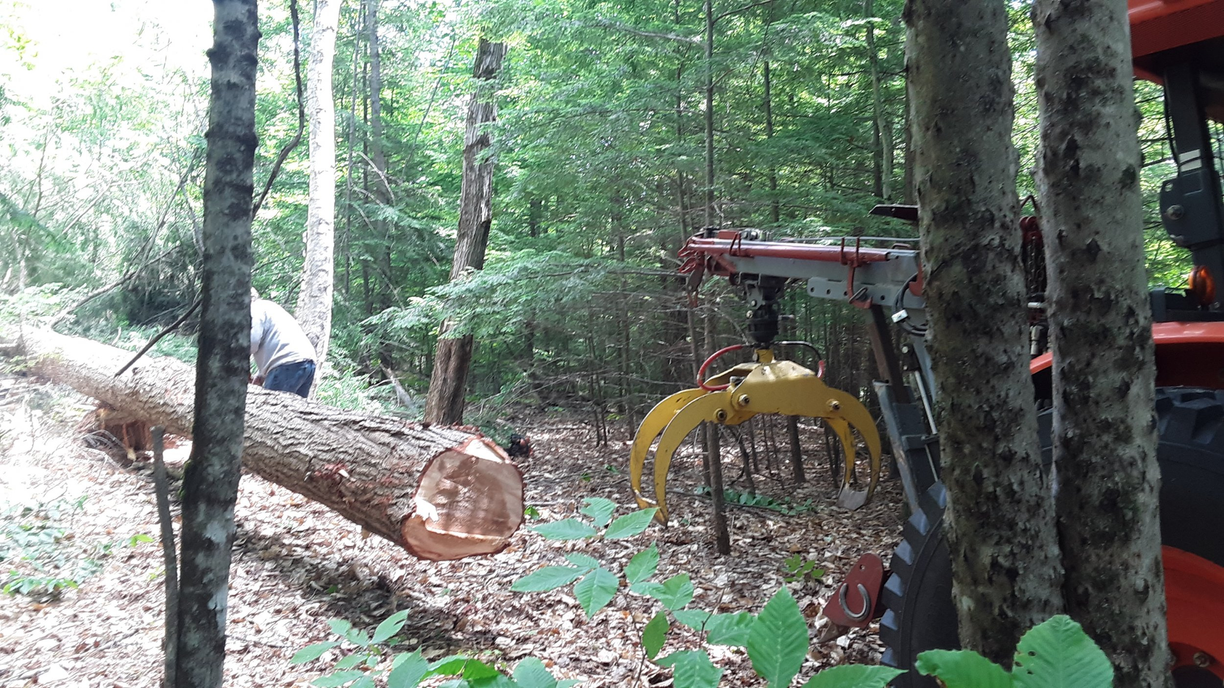20220629_124134.jpg
