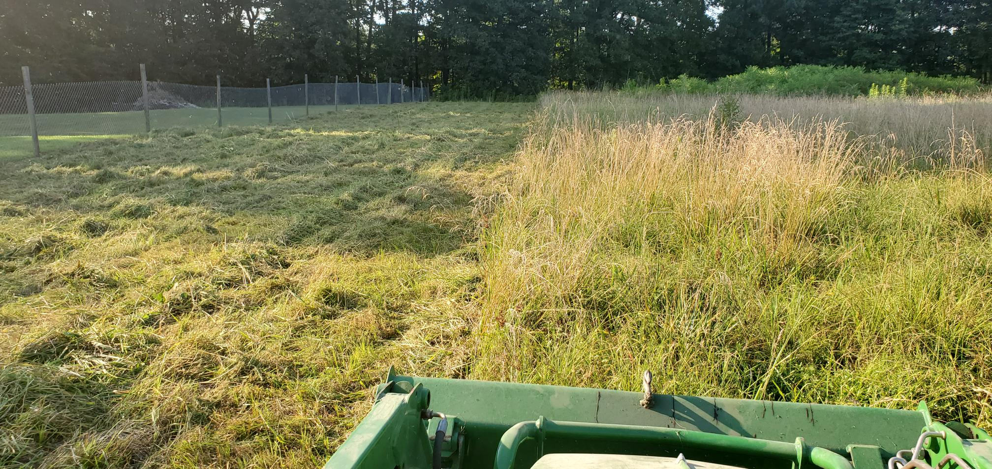 20220709_080307.jpg