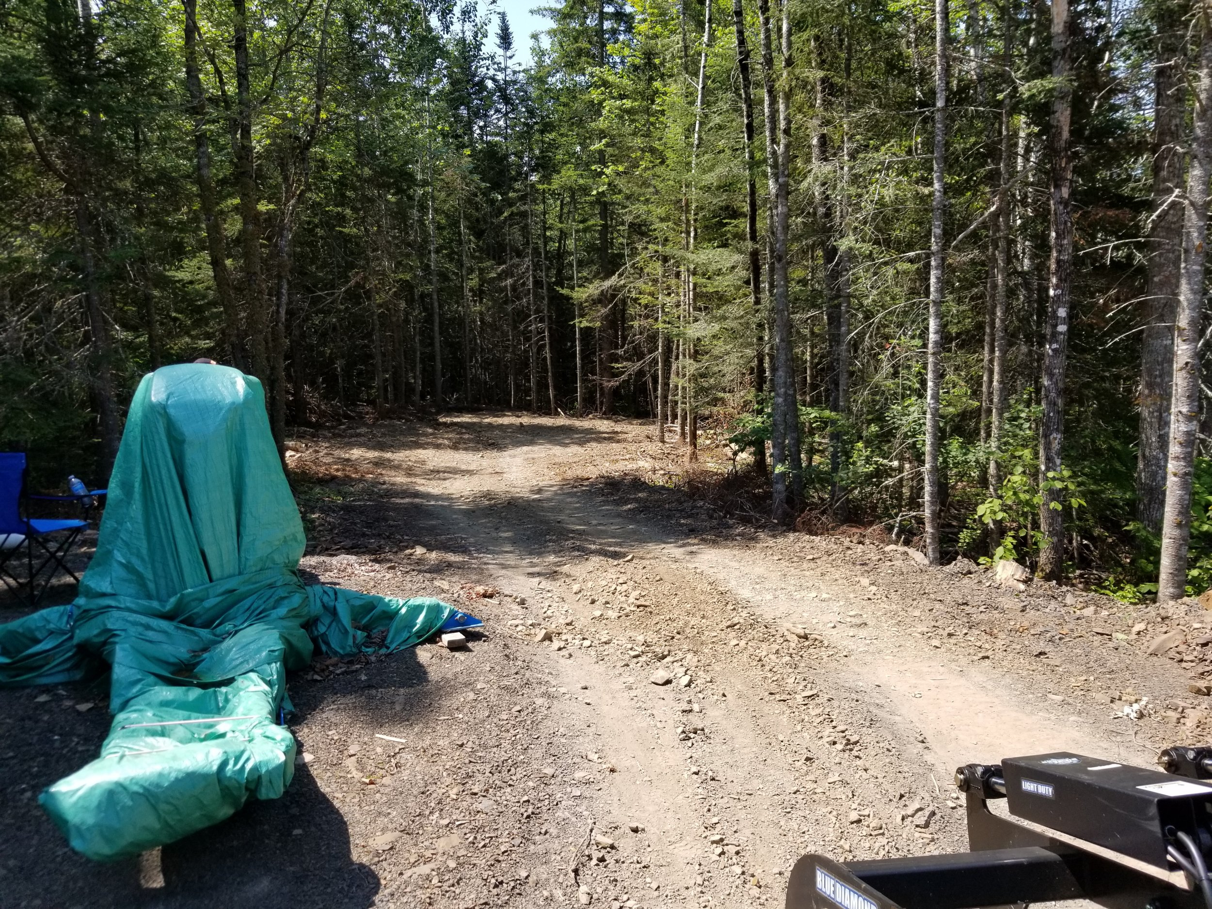 20220717_115205.jpg