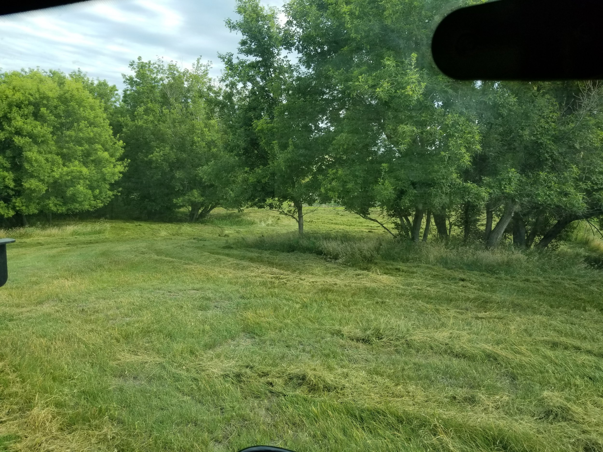 20220723_101547.jpg