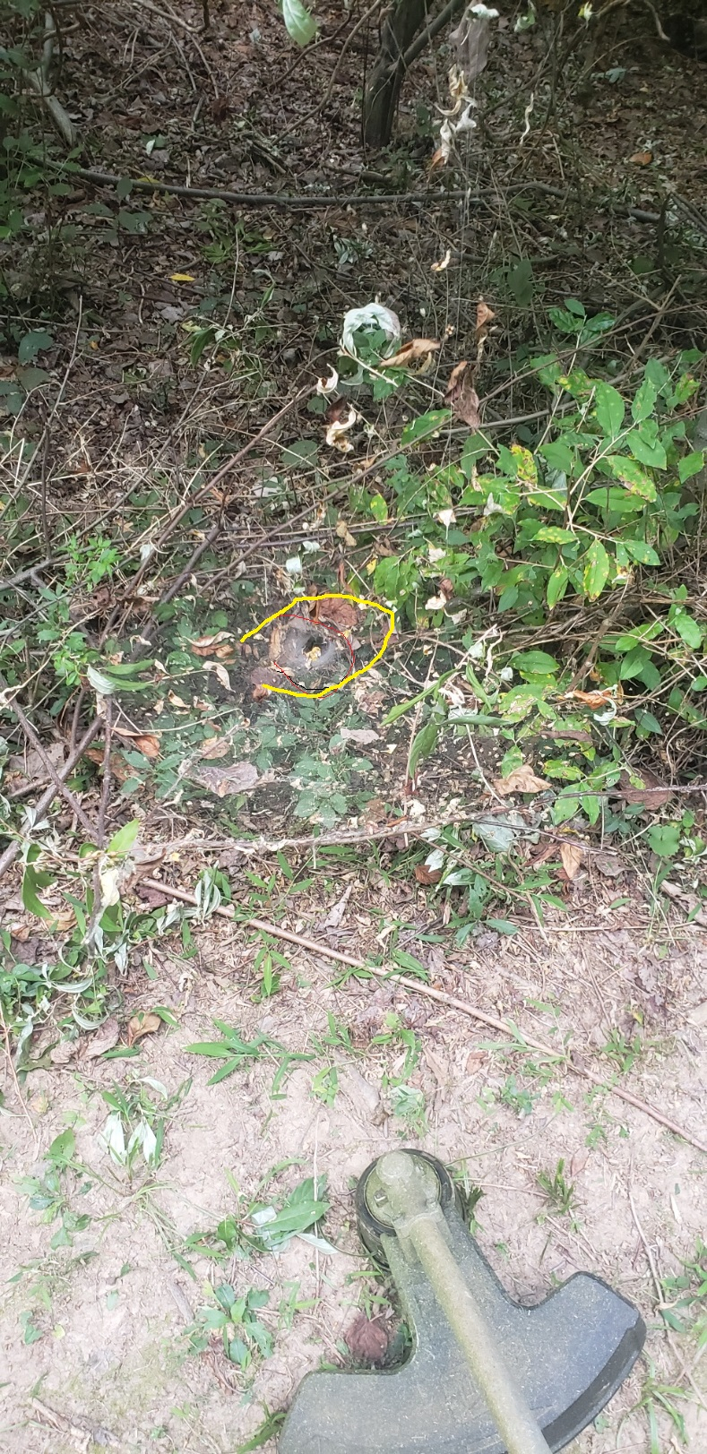 20220818_175547.jpg