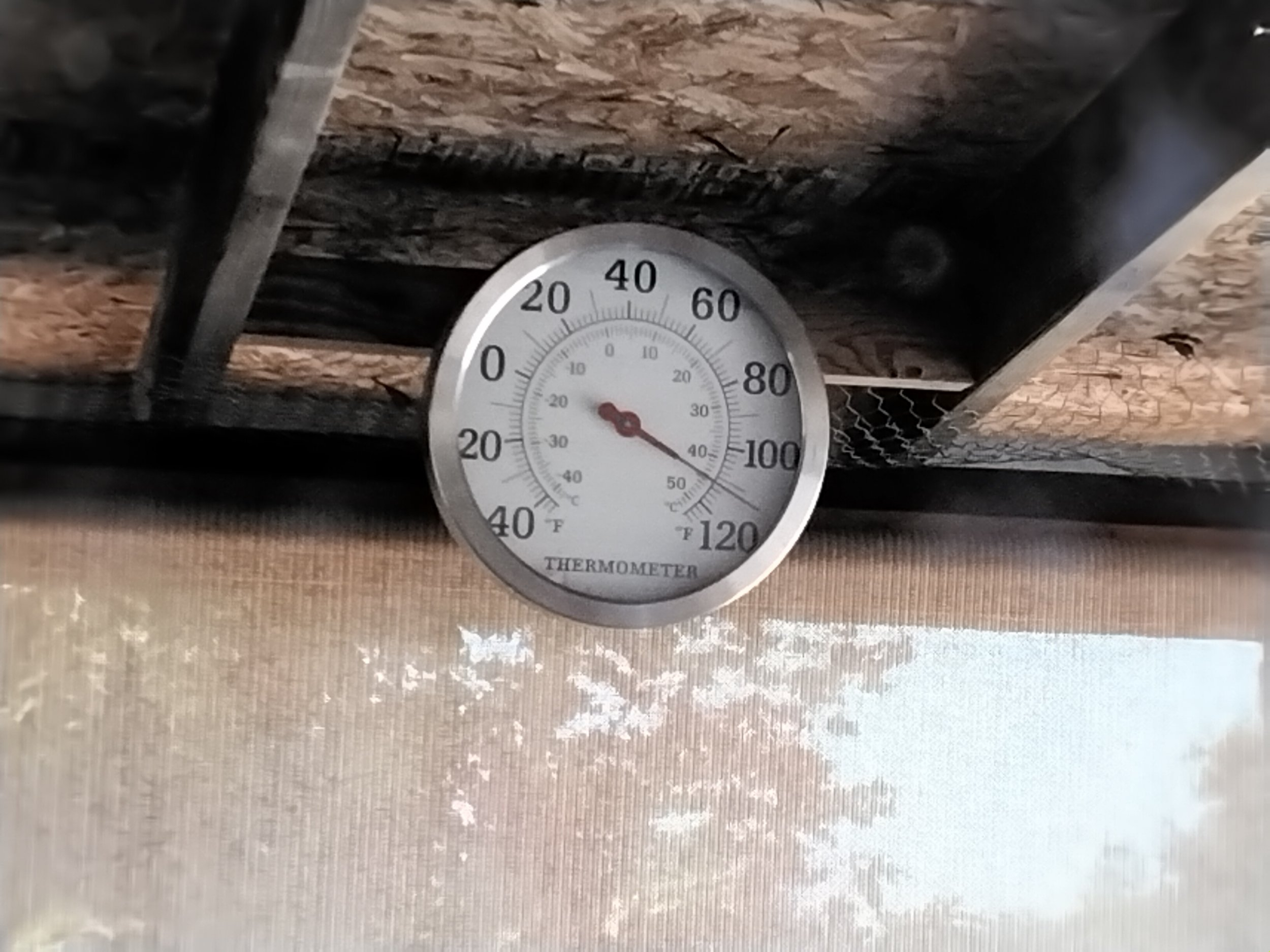 20220906_132614.jpg