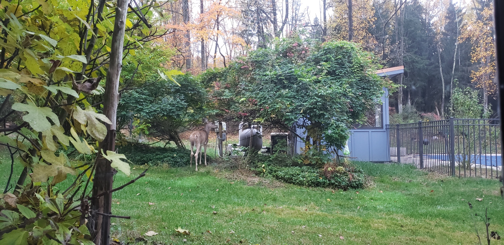 20221025_171415.jpg