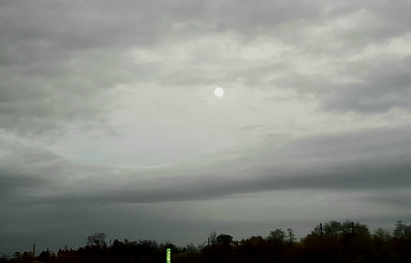 20221107_064909.jpg