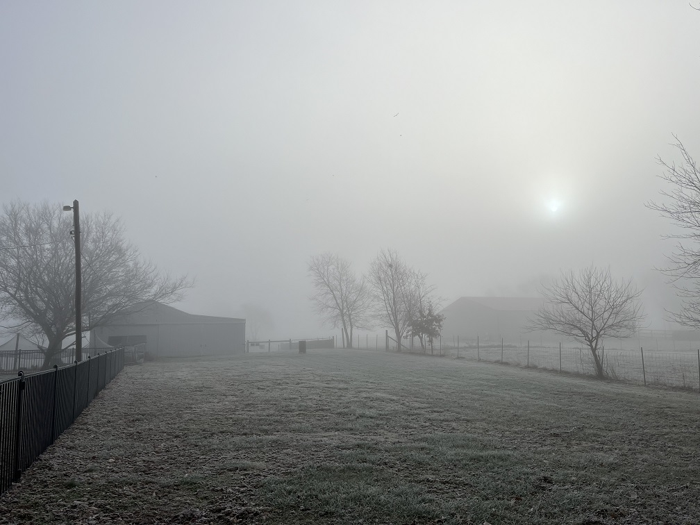 20221126 Foggy Sunrise.JPG