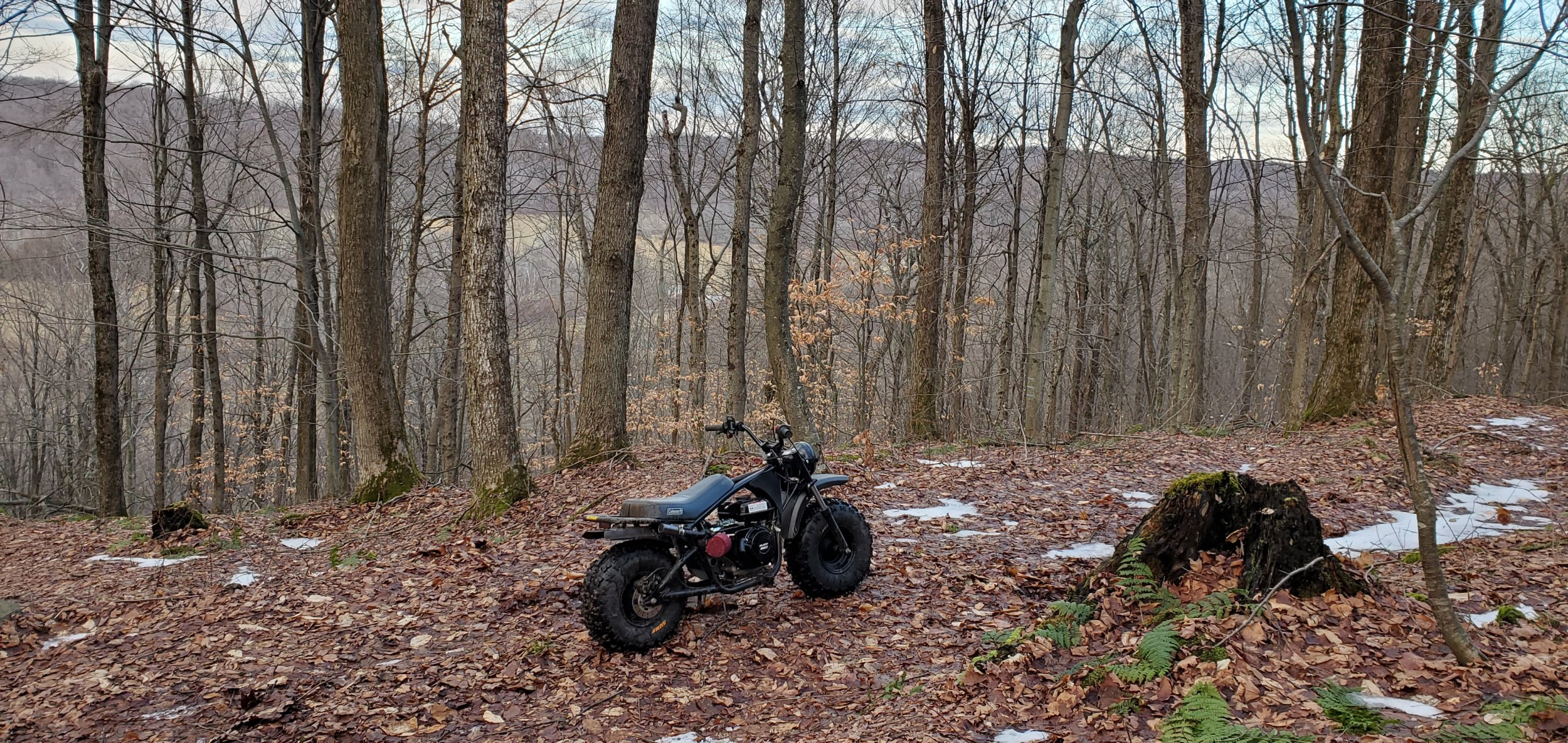 20230101_155621.jpg