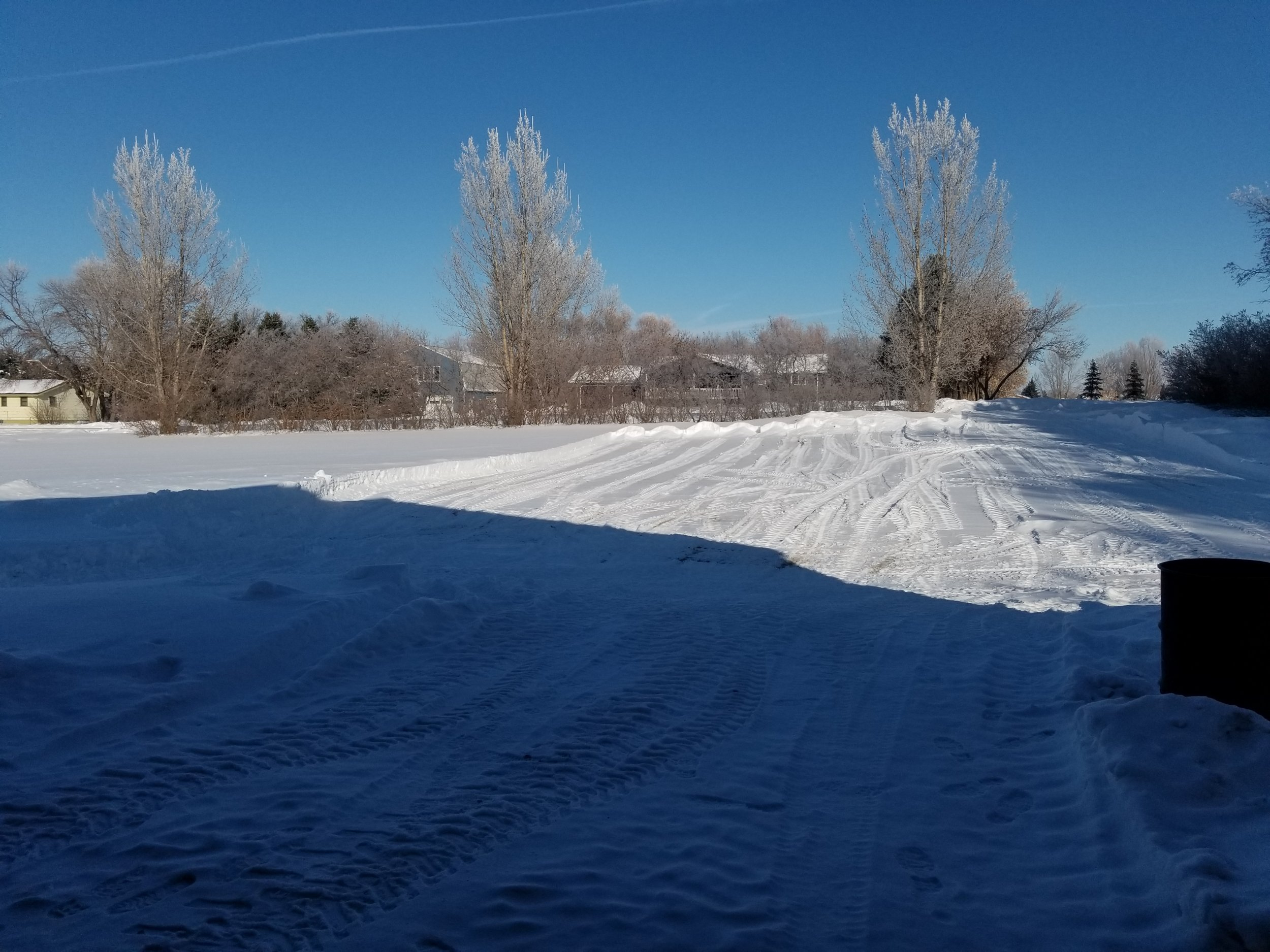 20230122_111112.jpg