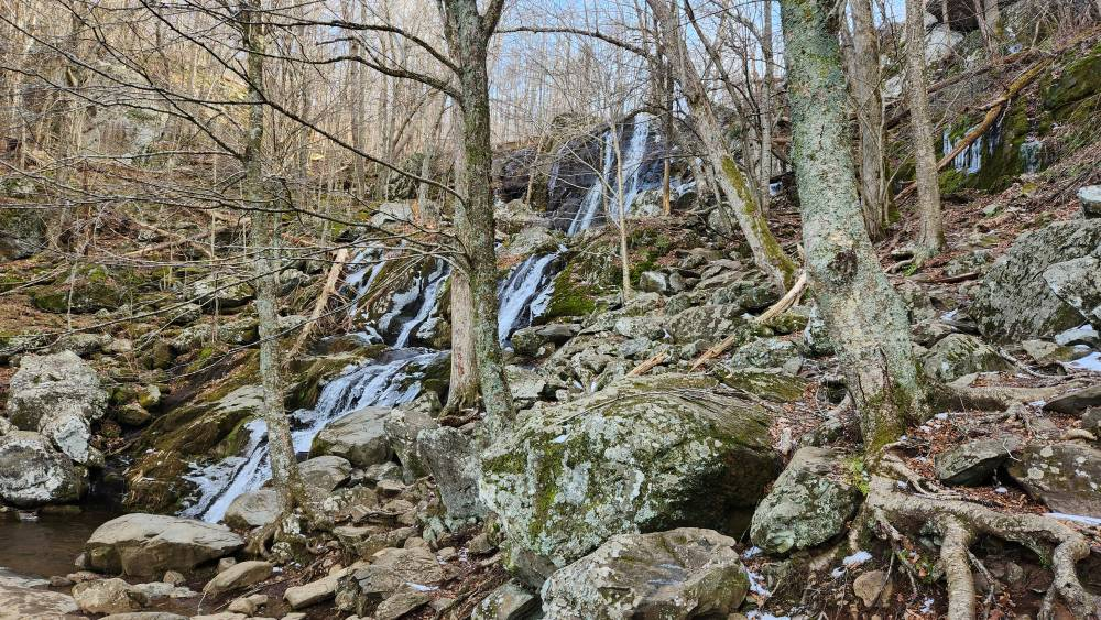 20230128_145252.jpg