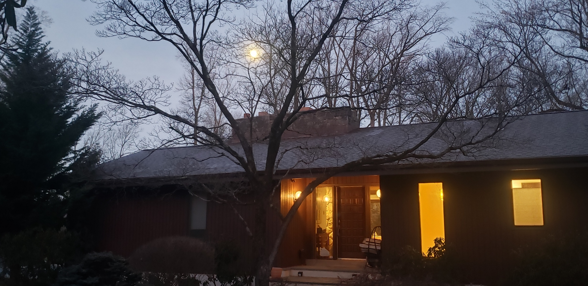20230207_064102.jpg