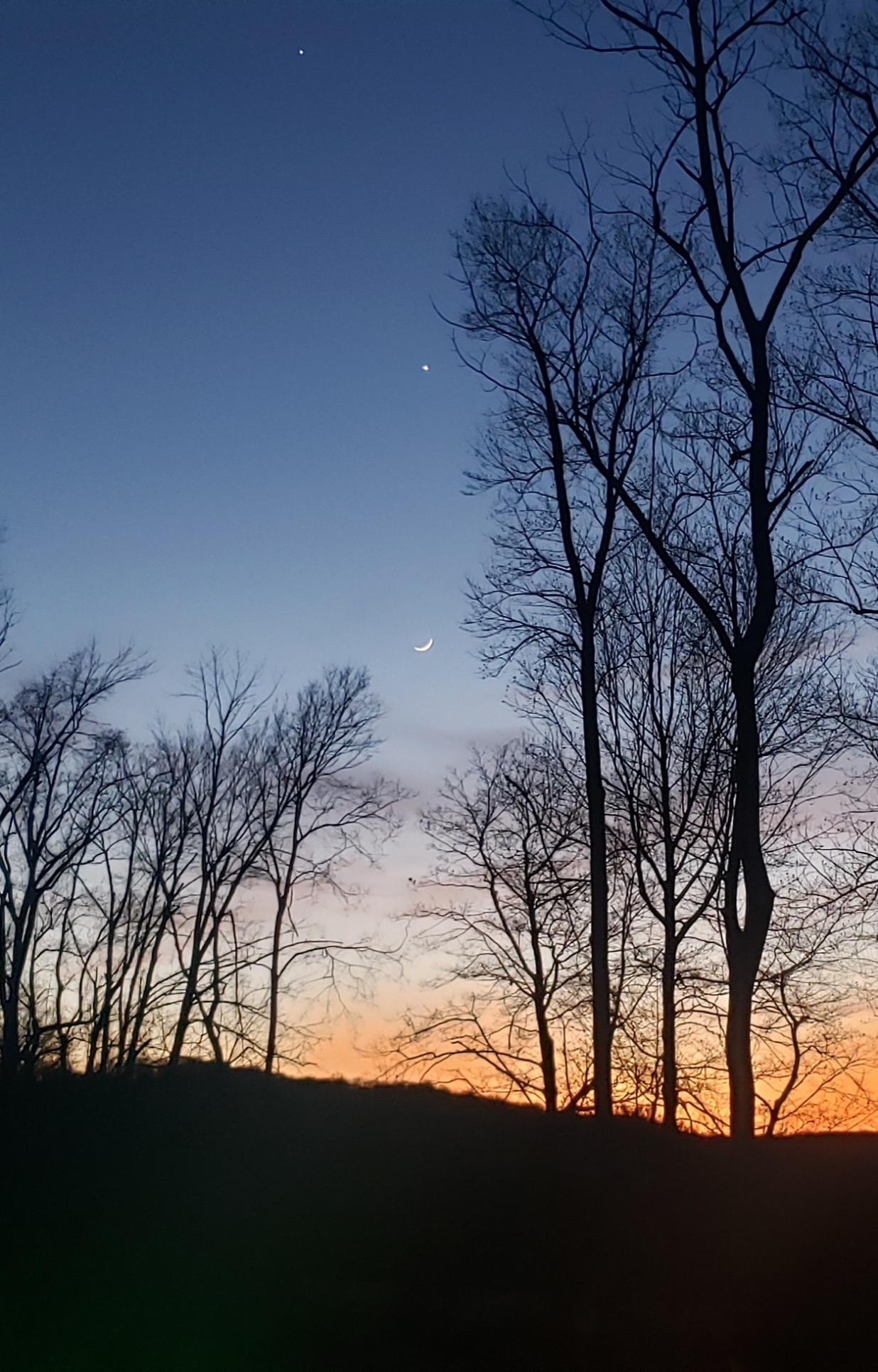 20230221_201231.jpg