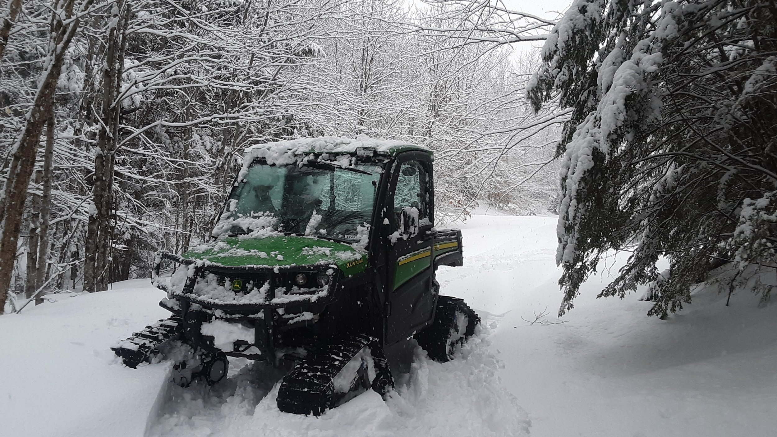 20230302_100255.jpg 20230302_100255.jpg