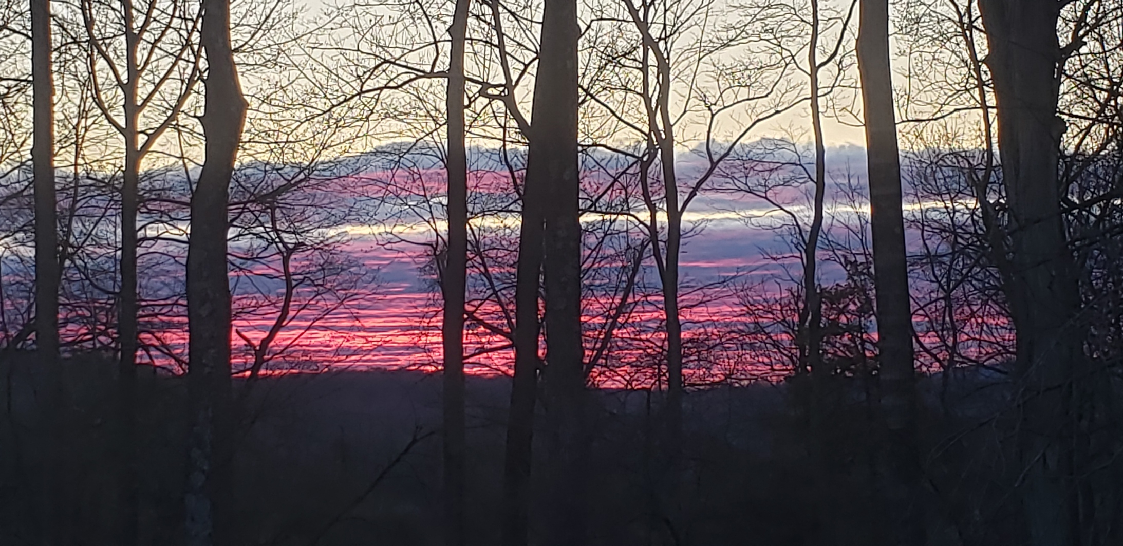 20230304_180031.jpg