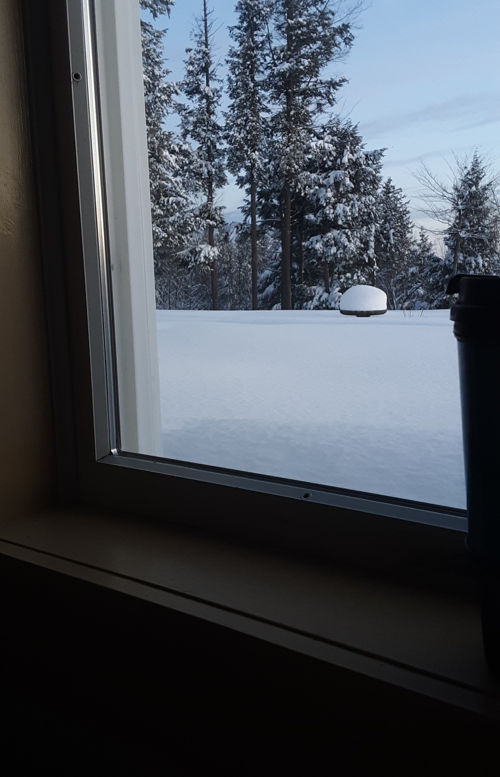 20230305_060806.jpg