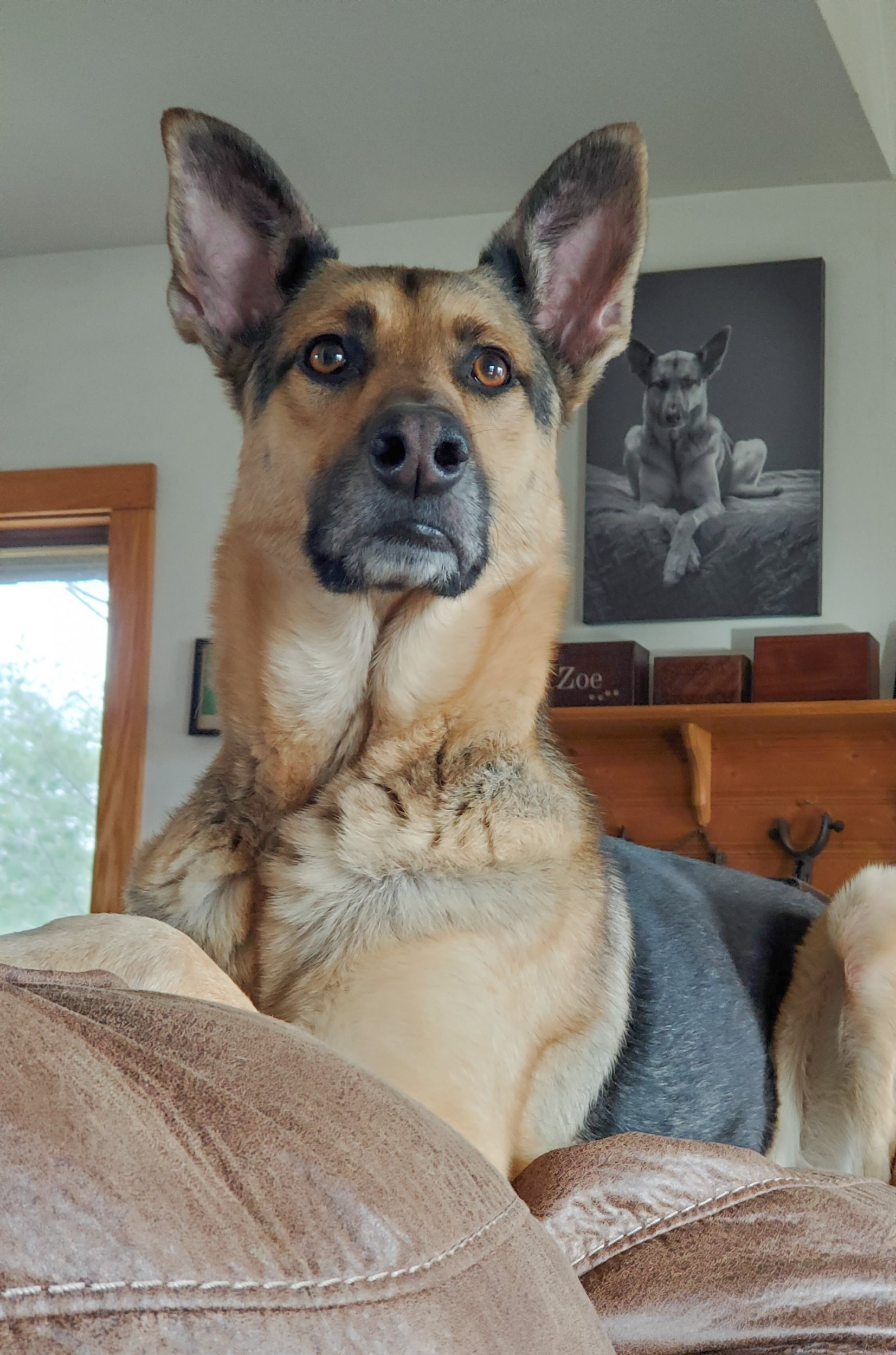 20230324_175737.jpg