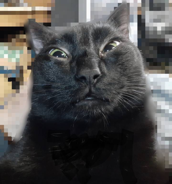 20230407_161235.jpg