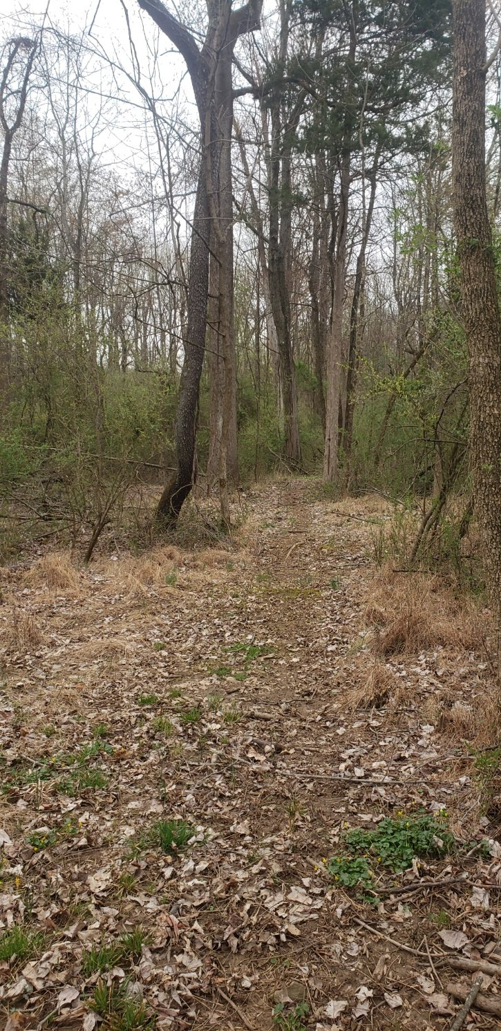 20230407_172122.jpg