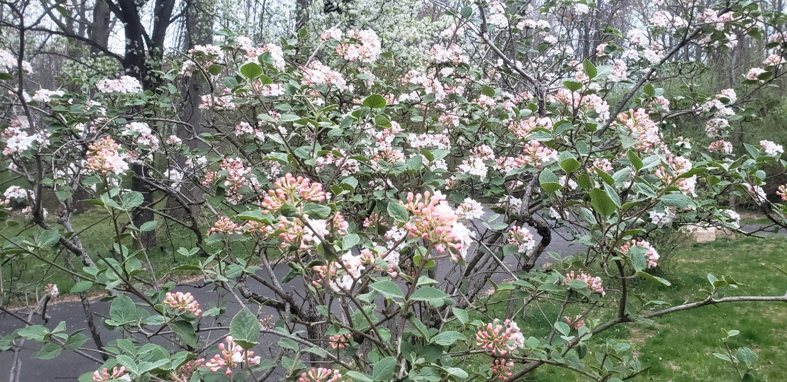20230412_064734.jpg
