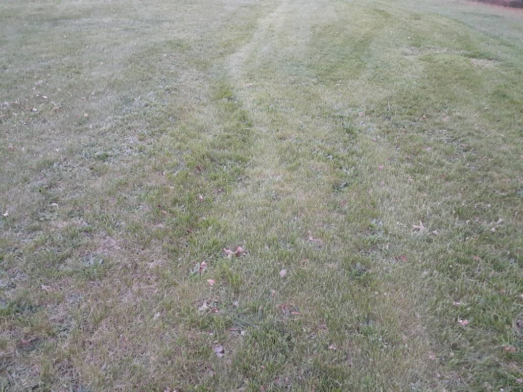 20230412_195253.jpg