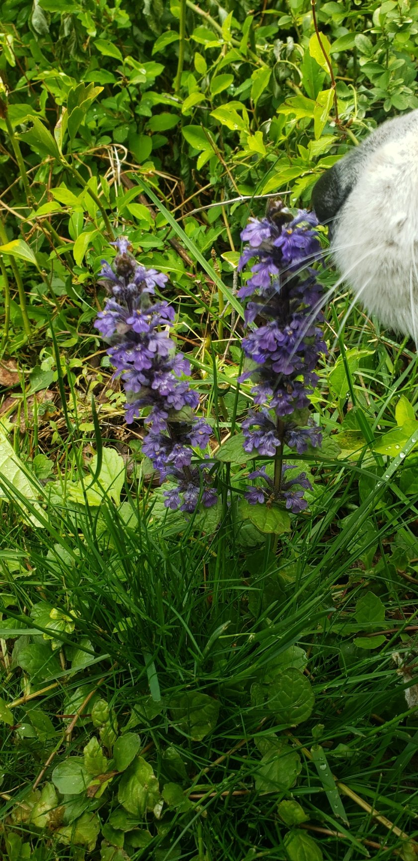 20230427_111352.jpg