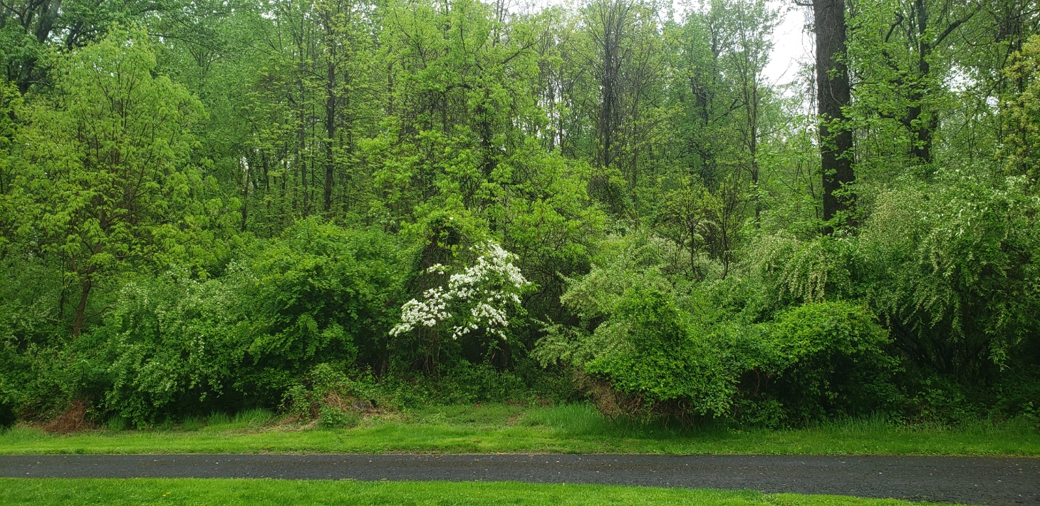 20230429_141718.jpg