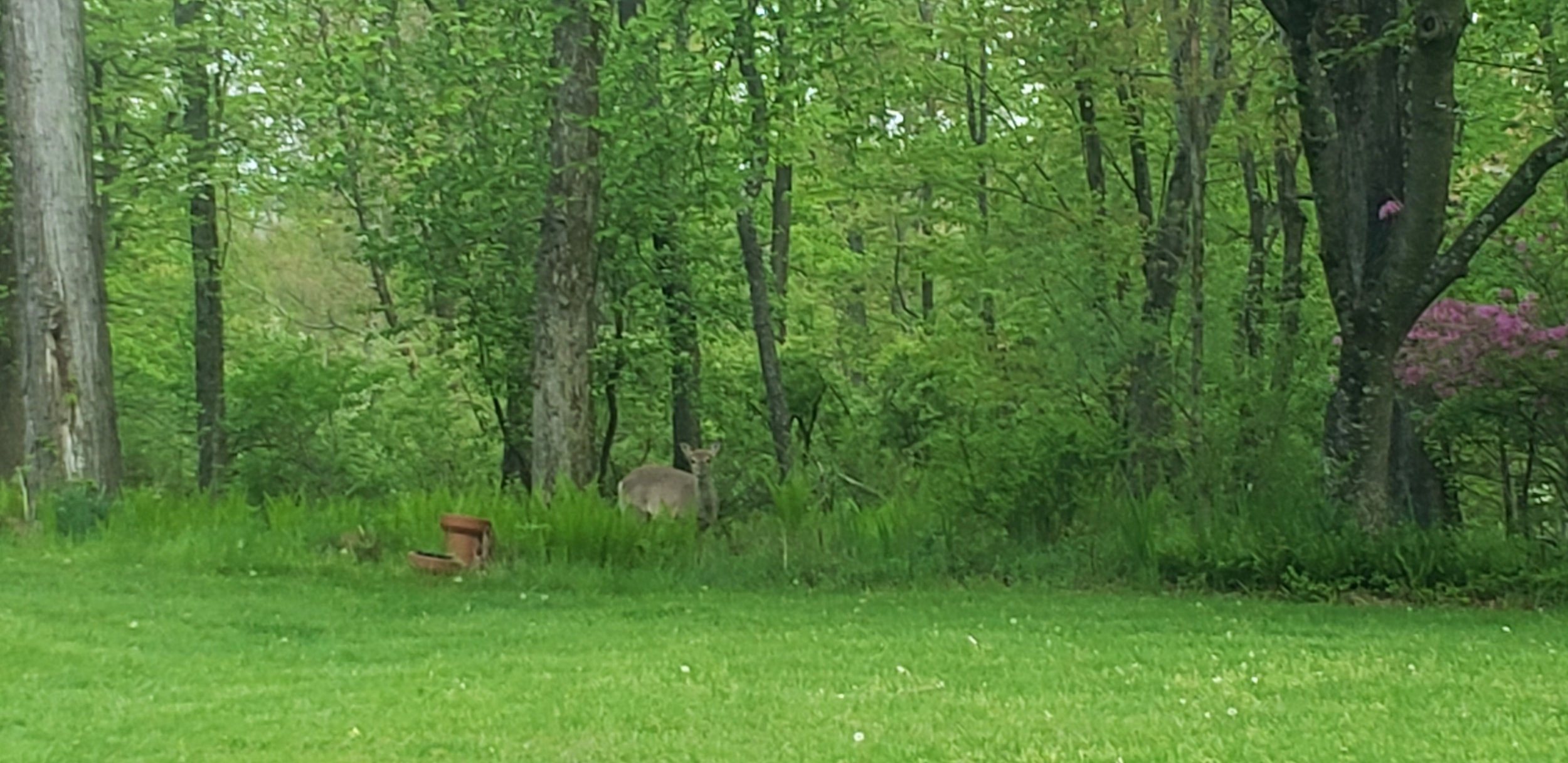 20230503_064541.jpg