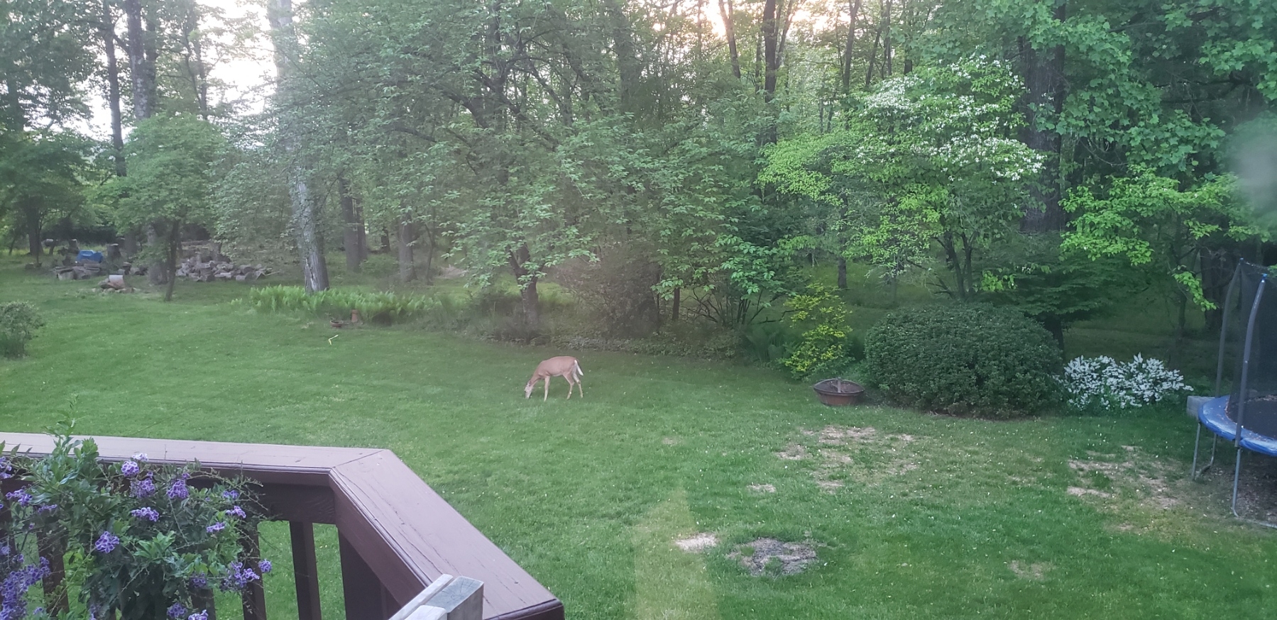 20230512_195728.jpg