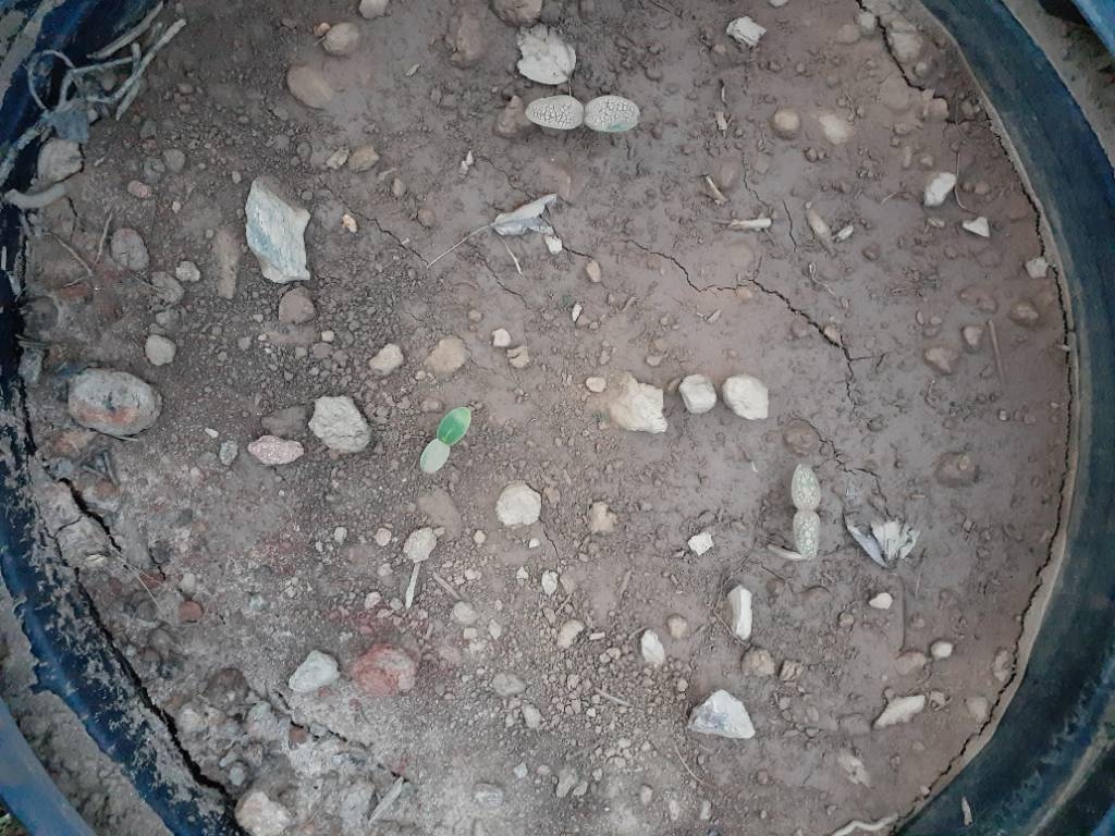 20230517_202711.jpg