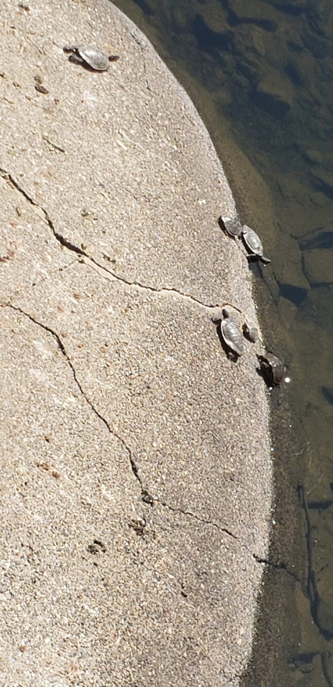 20230526_104710.jpg