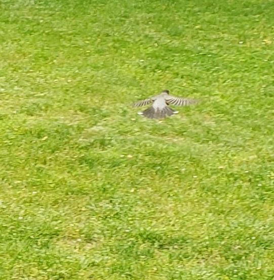 20230528_143232.jpg