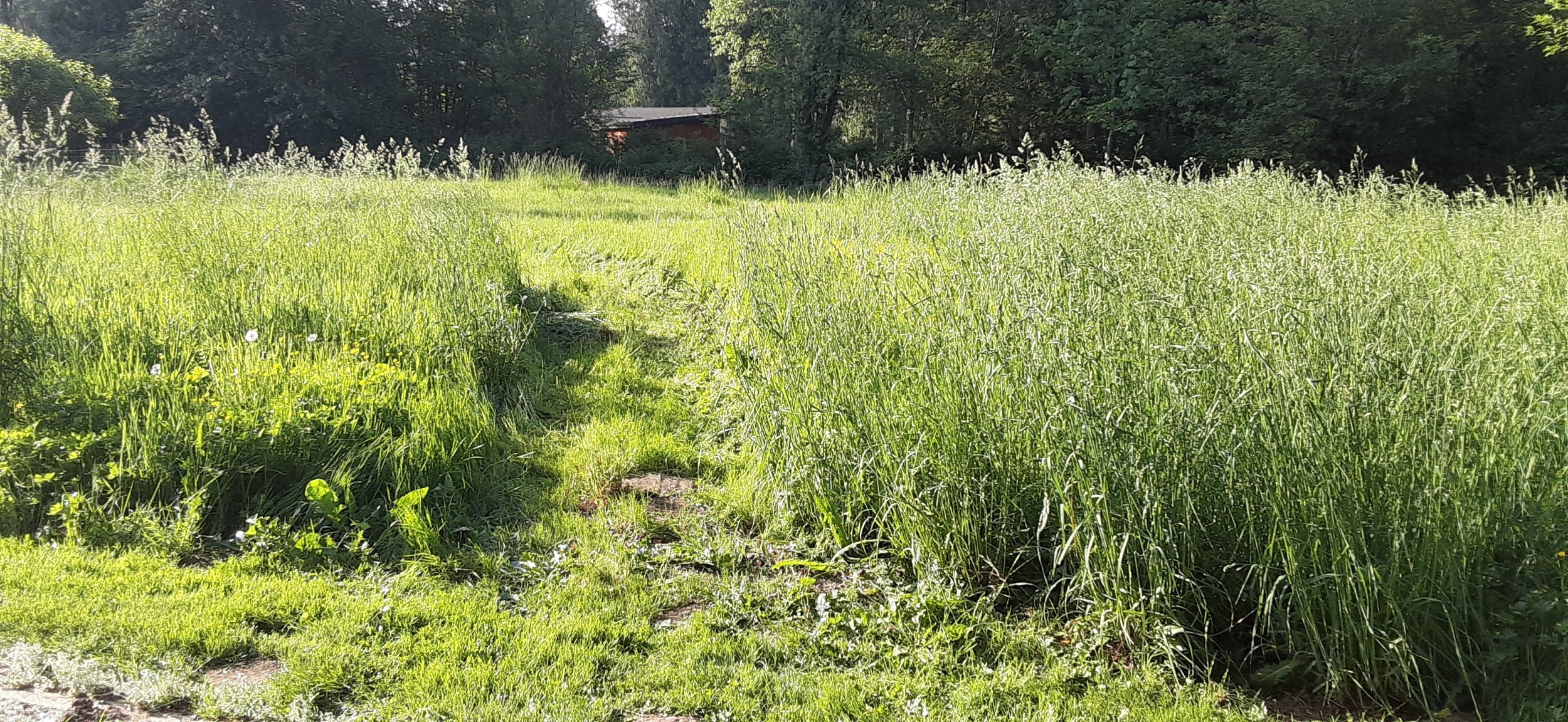 20230528_180914.jpg