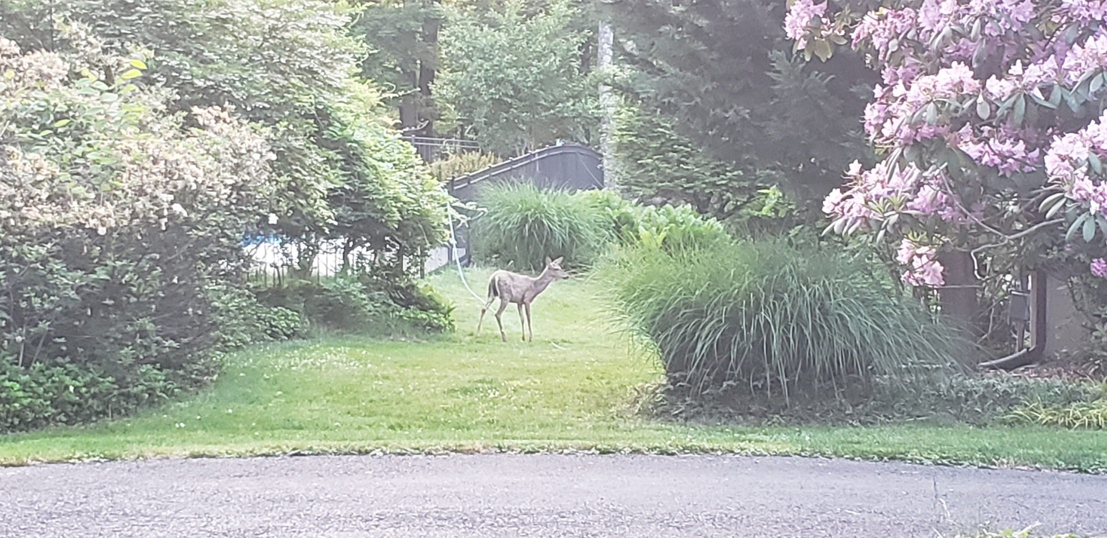 20230528_200145.jpg
